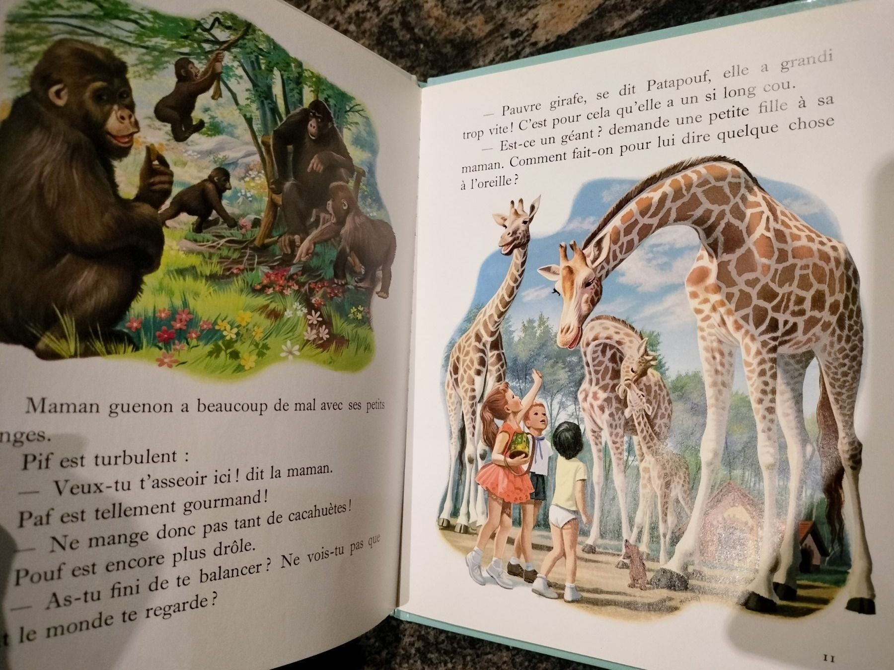 Libri: Martine au zoo dès 3 ans – Usato da Cortaillod venduto da rozinna 4