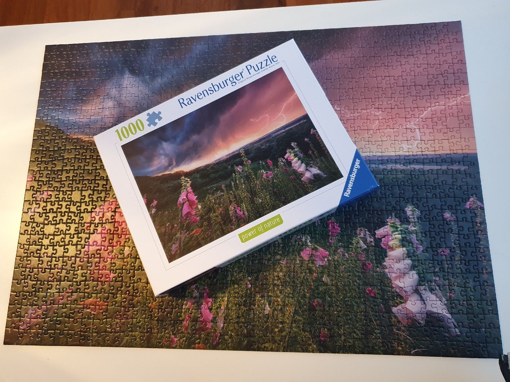 Ravensburger Puzzle: Puzzle 1000 Teile – Nuovo (secondo la descrizione) da Fischingen venduto da nad_fxf2 1