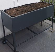 Hochbeet auf Rädern – perfekt für Kräuter 🪴
