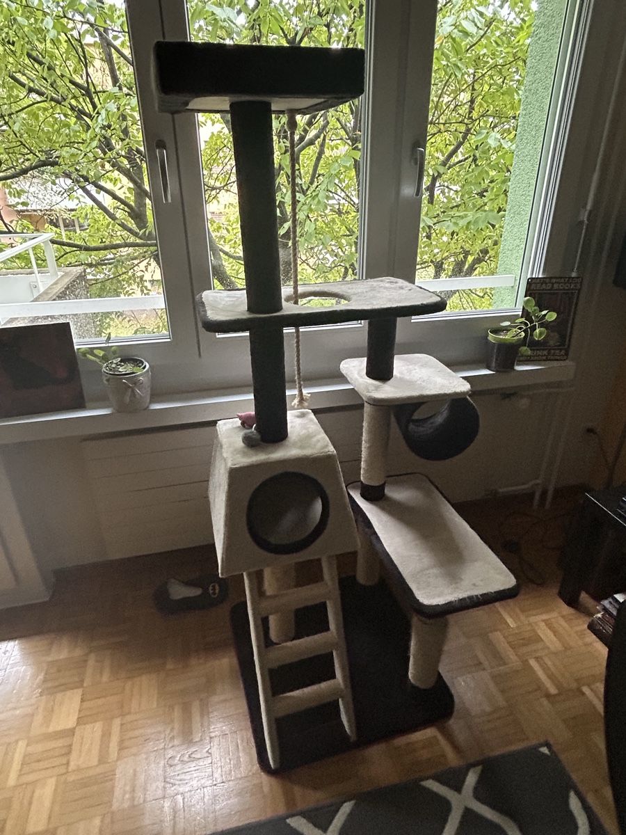 Niches, paniers: Katzenzubehör – D'occasion à Zürich par fla_qd7x 4