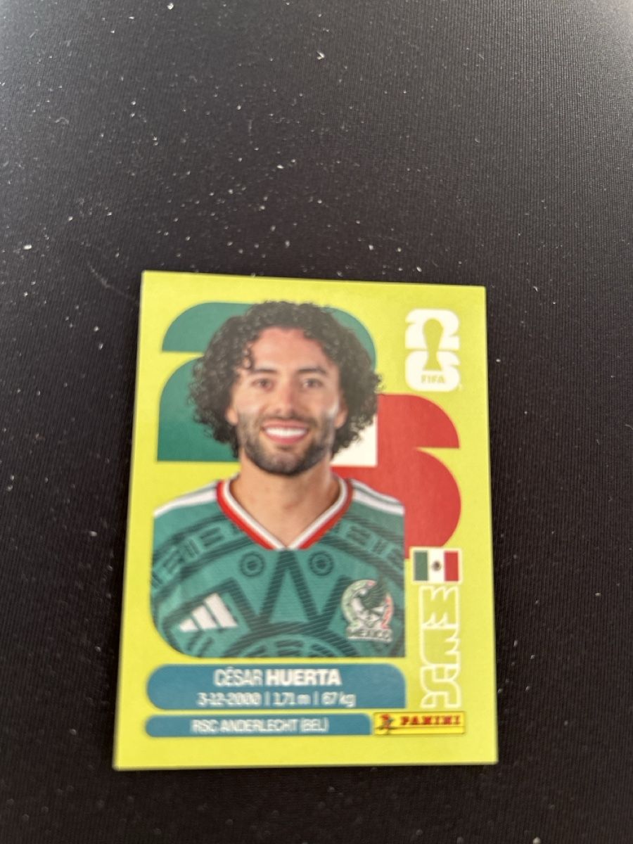 Panini Sammelbilder & Trading cards: Panini MEX 20 – Neu (gemäss Beschreibung) aus Lostorf von Venice16