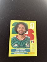 Panini MEX 20