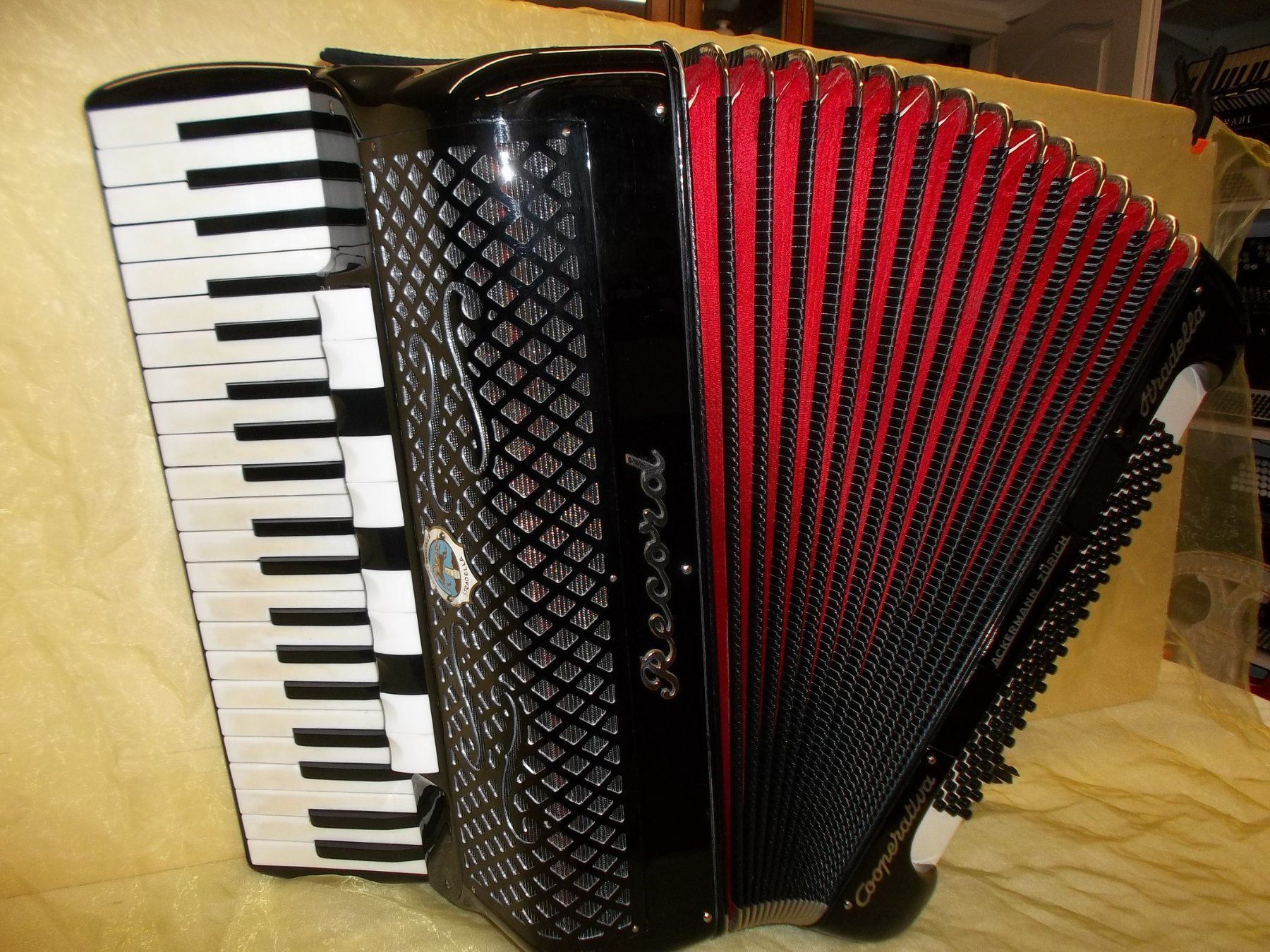 Record Strumenti musicali: Akkordeon Record Stradella – Usato da Jegenstorf venduto da Oktavio 2