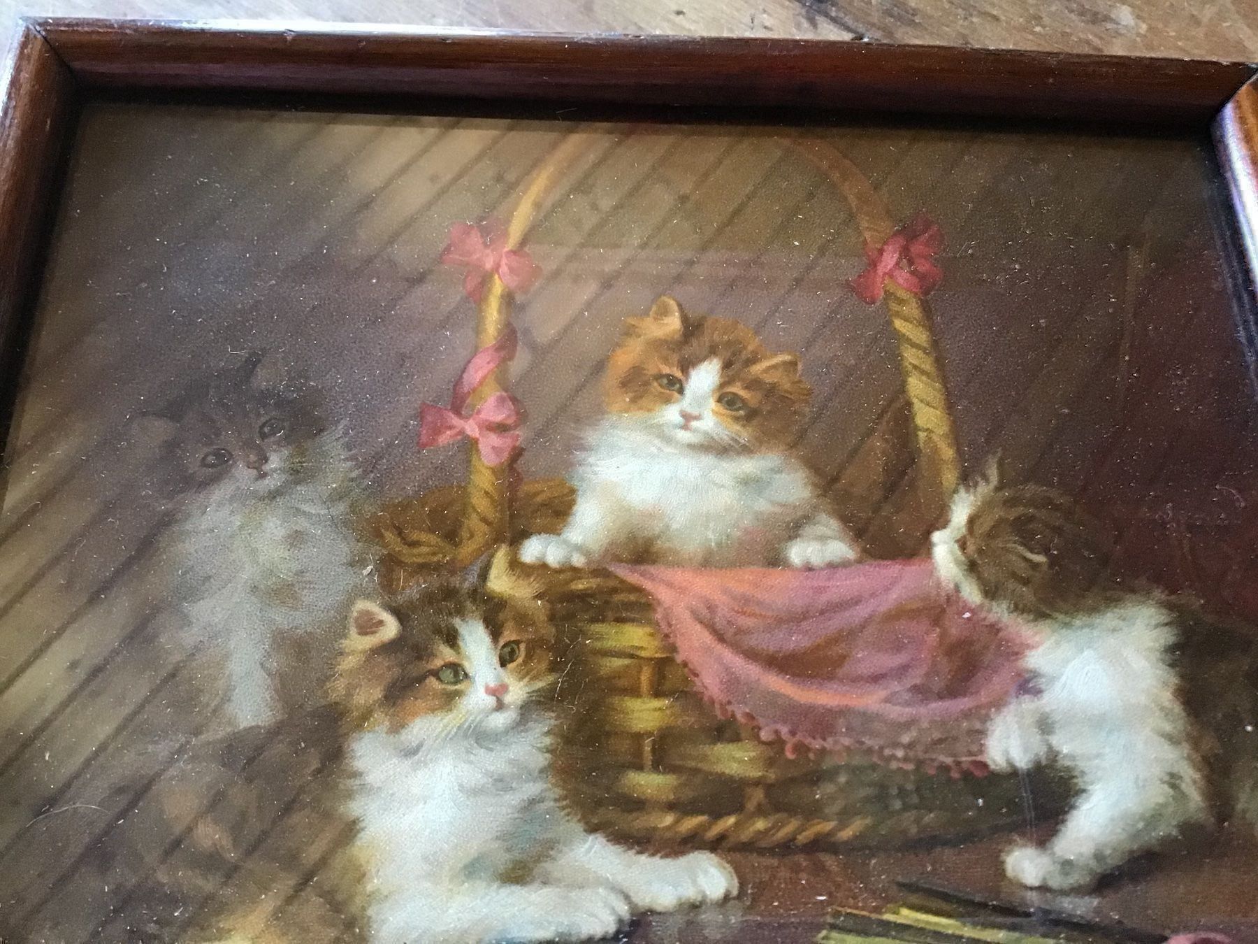 Foto & Immagini: Altes antikes Katzenbildli – Usato da St. Gallen venduto da Goldlilly