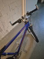 Fahrrad Velo Mountainbike Defekt zum Aufbereiten oder Export