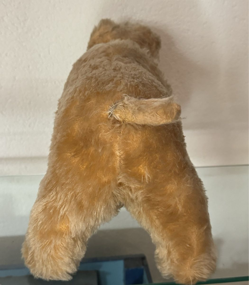 Spielzeuge: Teddy – Gebraucht aus Binningen von kal_5nsj 3