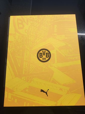 50 Jahre Westfalen Stadion - Jubiläums Trikot