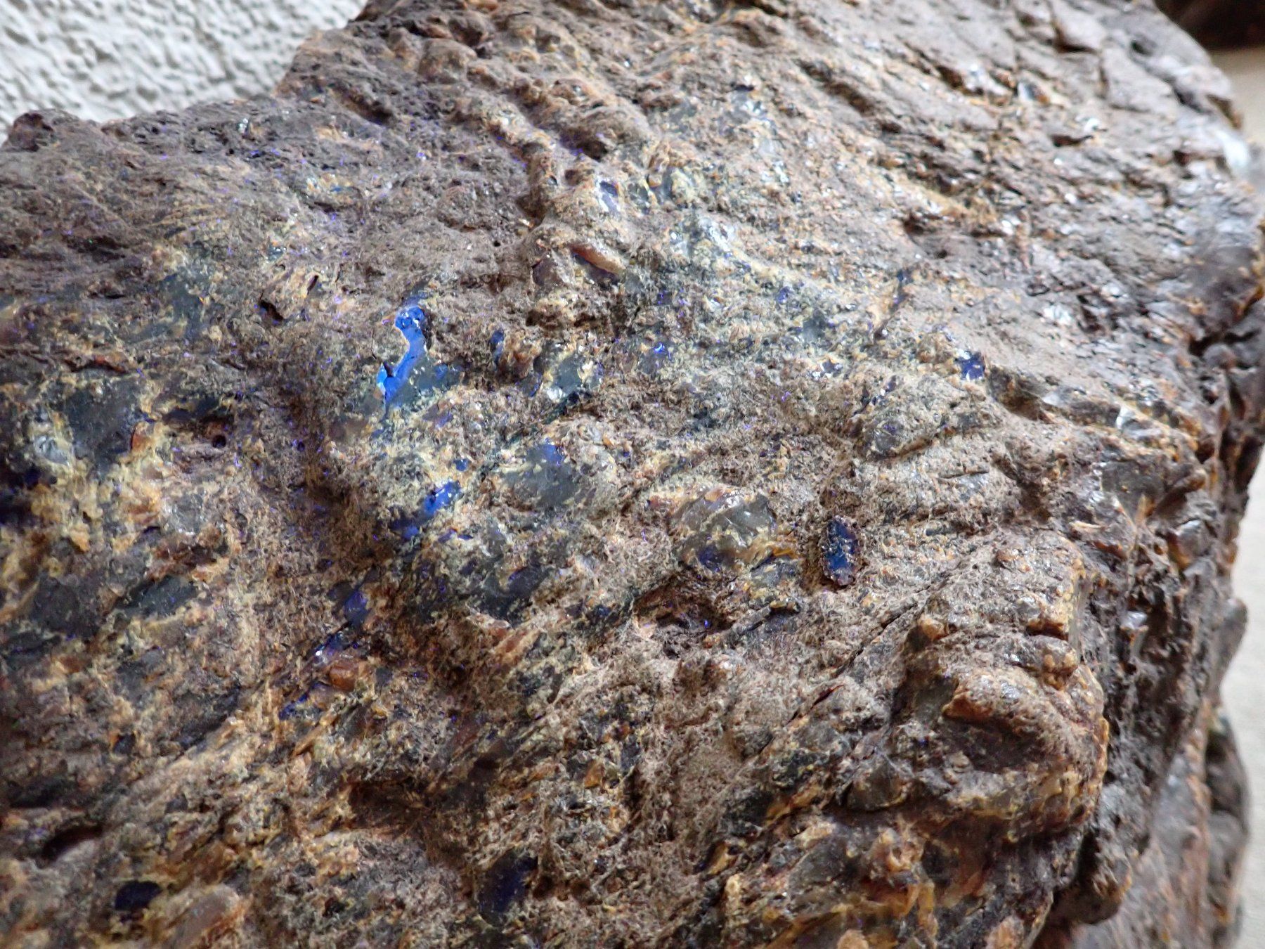 Fossili: Bernstein GIGANT 40 KG  Indonesien – Usato da Wallisellen venduto da Mf1000 5