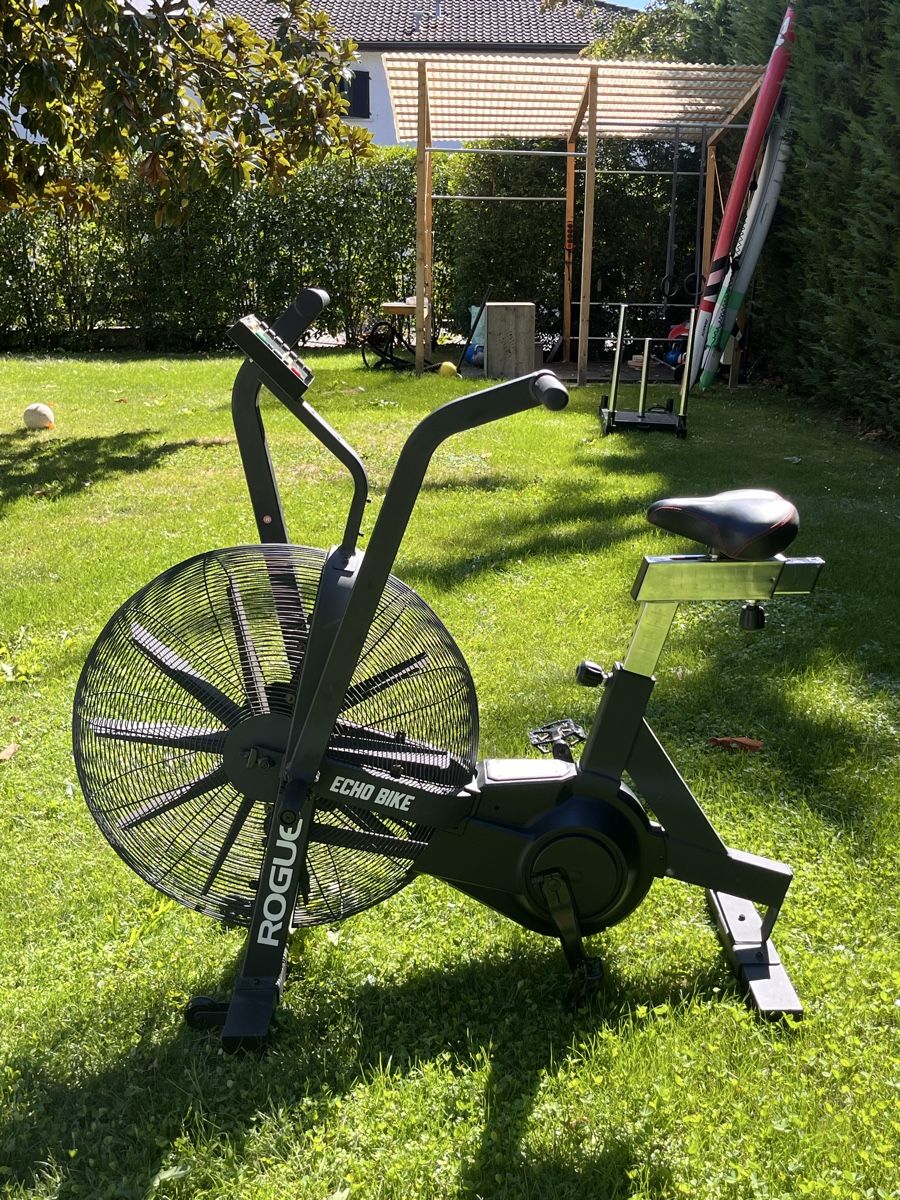 Rogue Hometrainer: Rogue echo bike  – Usato da Collonge-Bellerive venduto da ola_69vq 4