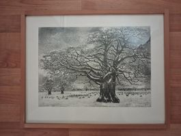 Peter Bergmann, Baum