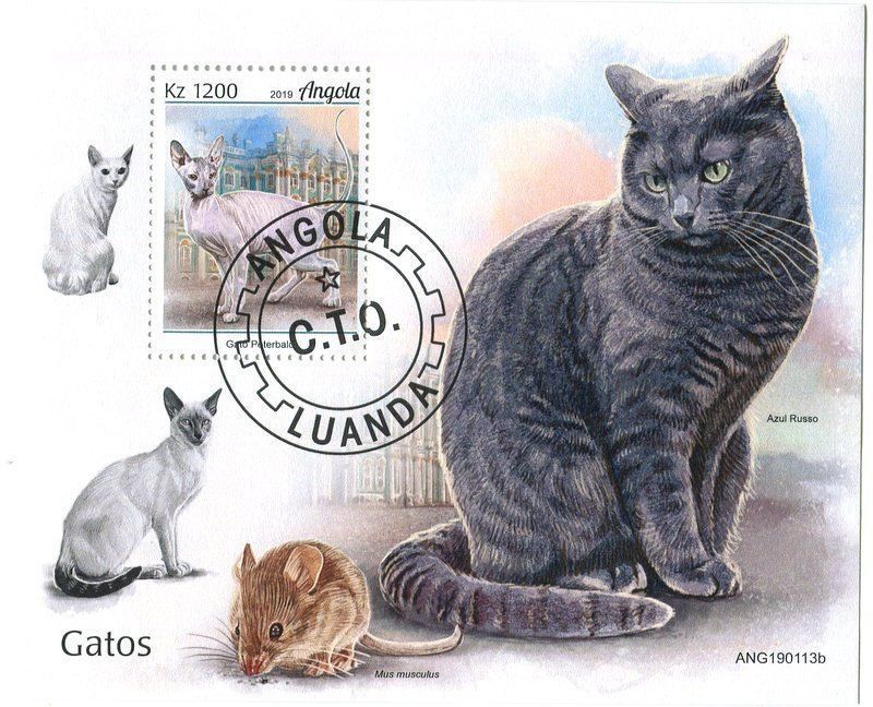 Tutti i francobolli: Block "Katzen". Angola – Nuovo e nell'imballaggio originale da Basel venduto da Butsch5