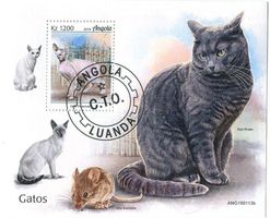 Block "Katzen". Angola