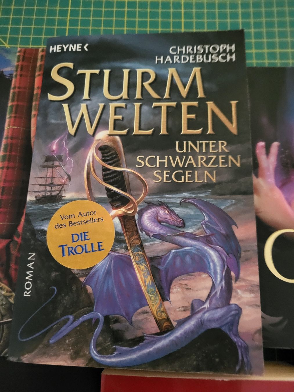 Libri: 7 Fantasybücher – Usato da Möriken AG venduto da Vandine 3