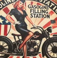 Schönes Pin Up Girl Retro Blechschild / 20 CM / neu!!!