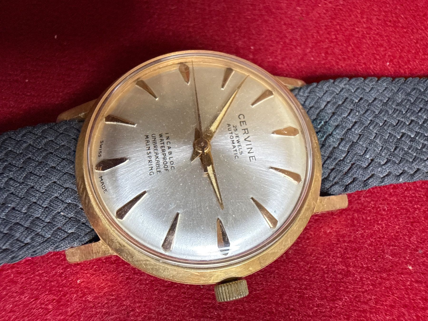 Orologi: Cervine Vintage Automatic 34 mm – Usato da Pfeffingen venduto da Allhandelklgwatches 1