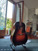 Blueridge BG-60 guitare folk