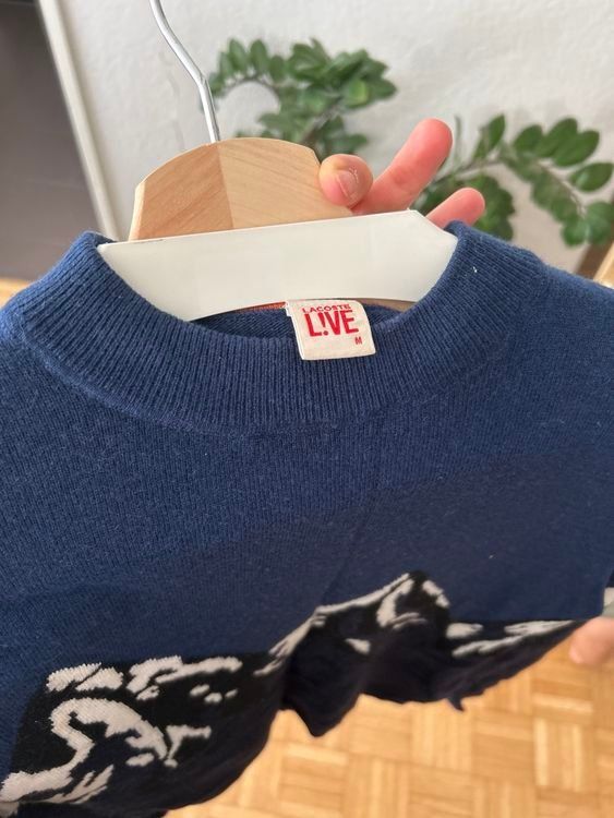 Lacoste Maglioni & Felpe: Lacoste Pullover Schnee Wollmischung Grösse S – Usato da Zürich venduto da ale_7k2j 2