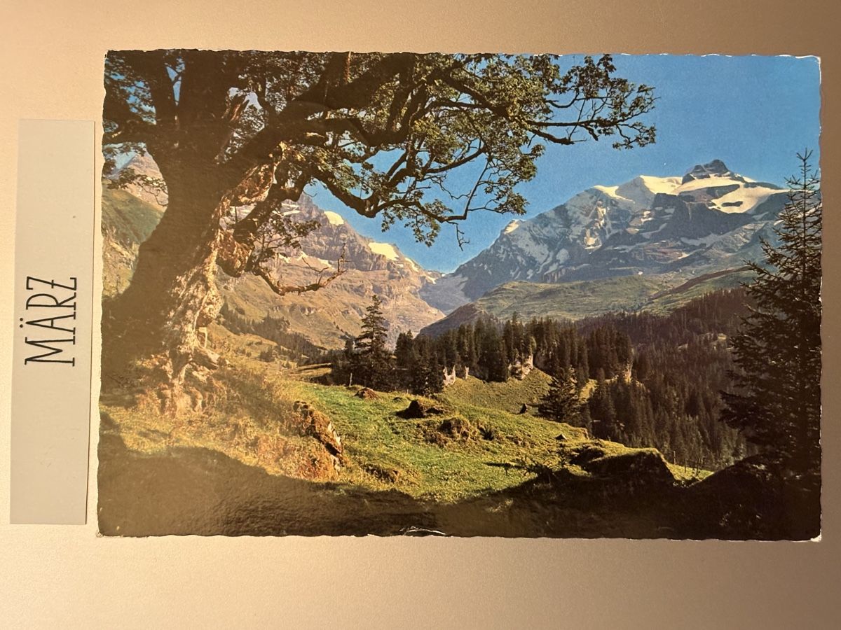Cartoline postali: AK von Bergahorn – Usato da Rümlang venduto da Kartenpost1