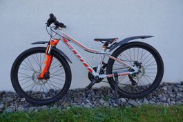 SCOTT Scale 20 Zoll