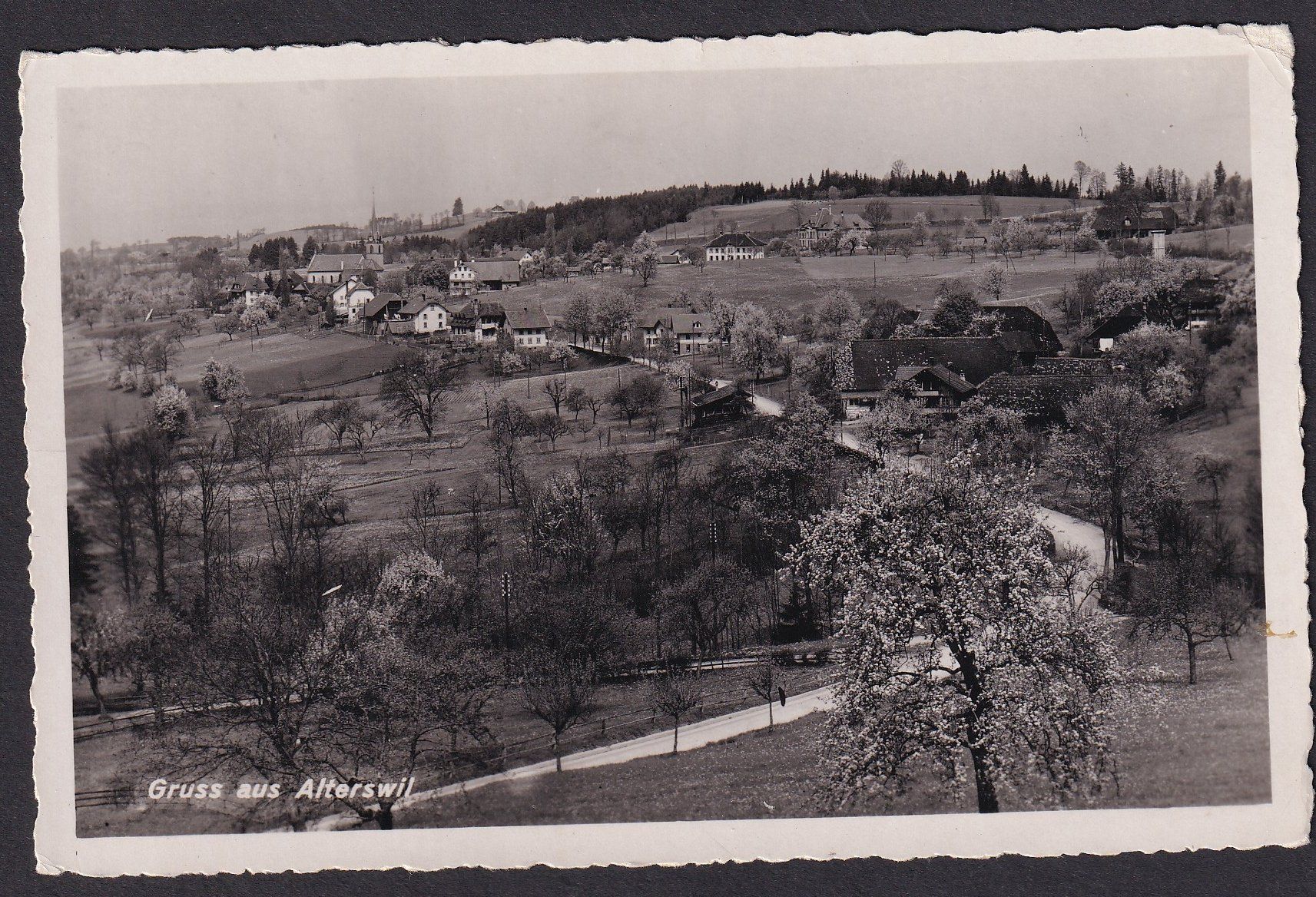 Cartoline postali: Alterswil Dorfansicht – Usato da Olten venduto da clotaldi