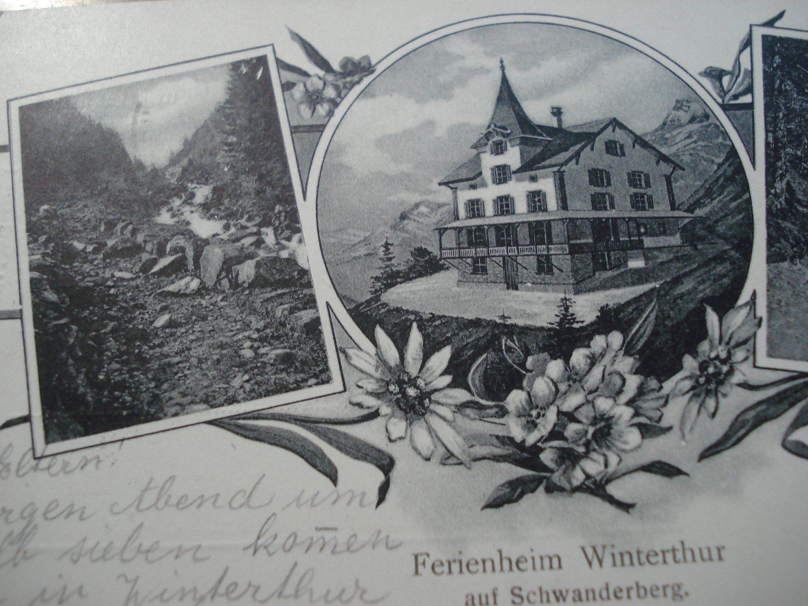 Cartoline postali: Karte Ferienheim Schwanderberg GL, o Haslen Glarus, 1908 – Usato da Niederwil AG venduto da morostahu 1
