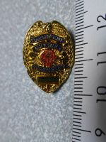 PIN PINS POLIZEI POLICE POLIZIA USA Sheriff Stern Abzeichen
