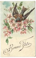 Bonne Fête - Vogel: Buchfink - Apfelblüten - Präge-Litho