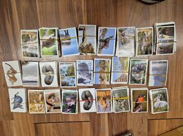Mountain mania ca1170 Karten K3