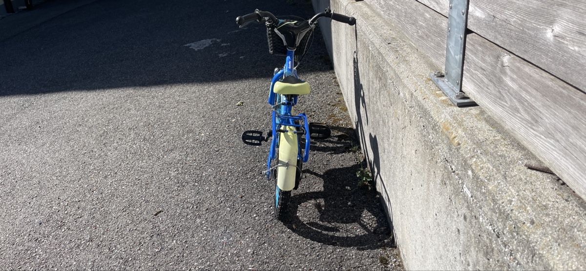 Leopard Biciclette: Bicicletta per bambini blu Leopard 14 pollici, perfetta per  – Nuovo (secondo la descrizione) da Brissago venduto da jmm_65pl 1