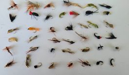 43 Stück verschidene Fliege Nymphen