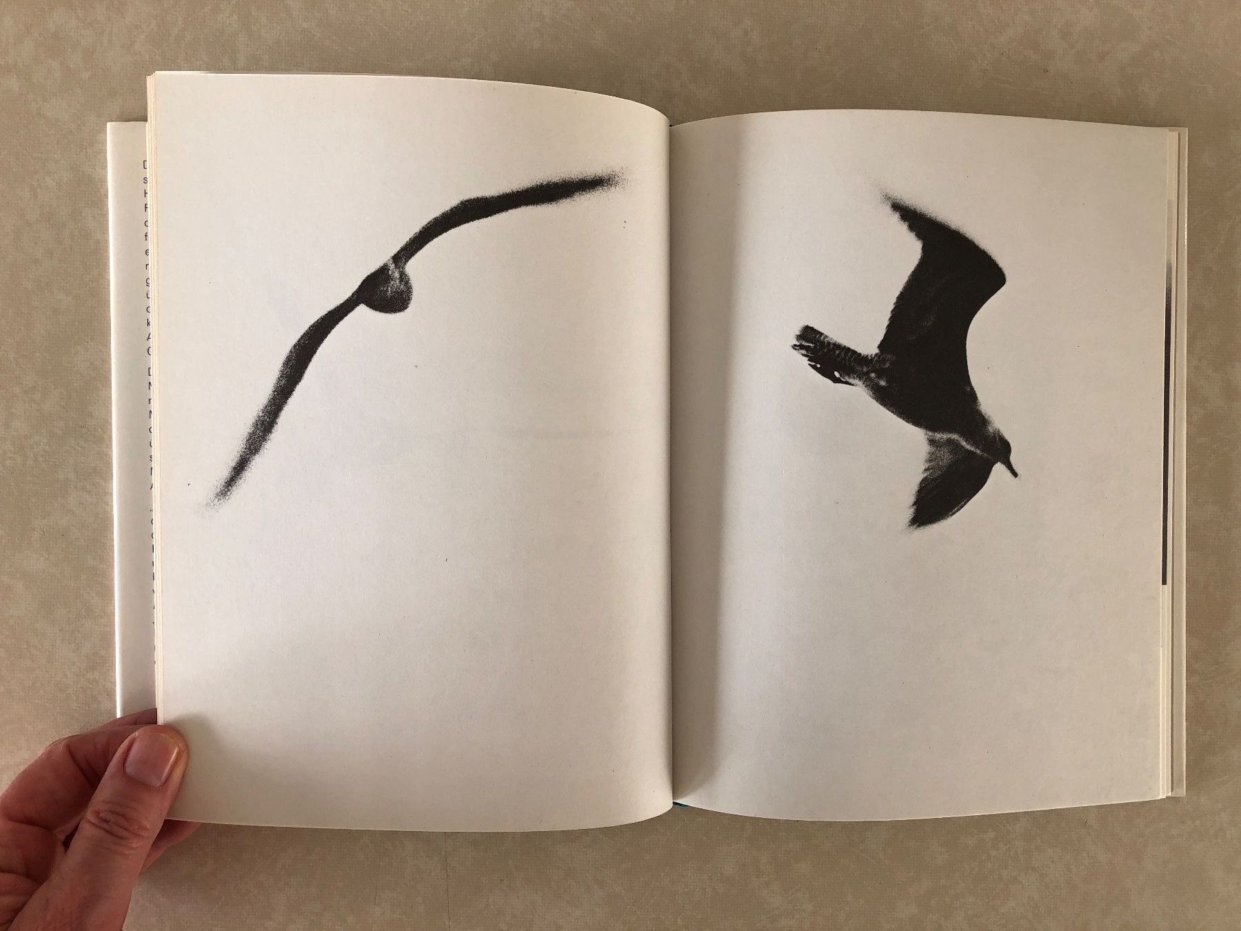 Libri: Die Möwe Jonathan, Bach/Munson, Ullstein – Usato da Balzers venduto da Bastlerherz 2