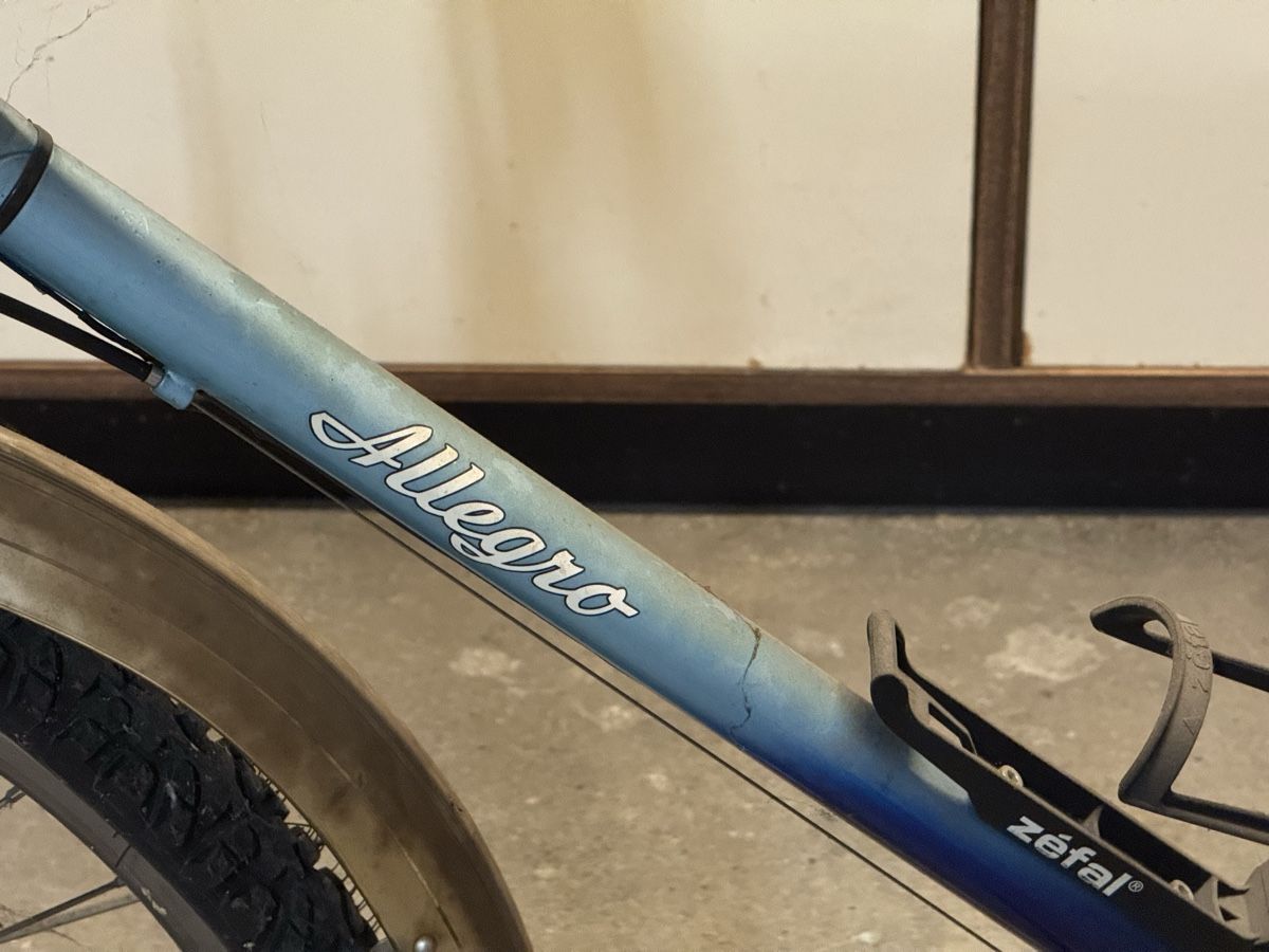 Velos: Allegro Bike – Gebraucht aus Meisterschwanden von Scania78 1