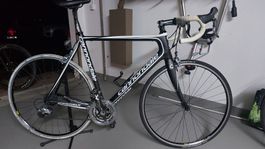 Rennvelo Cannondale Supersix Carbon Gr. L