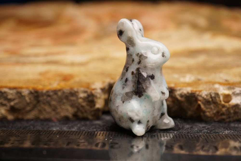 Kiwi Stone Stein-Hase 40mm x 20mm – Startpreis 1.- CHF (Neu und ...