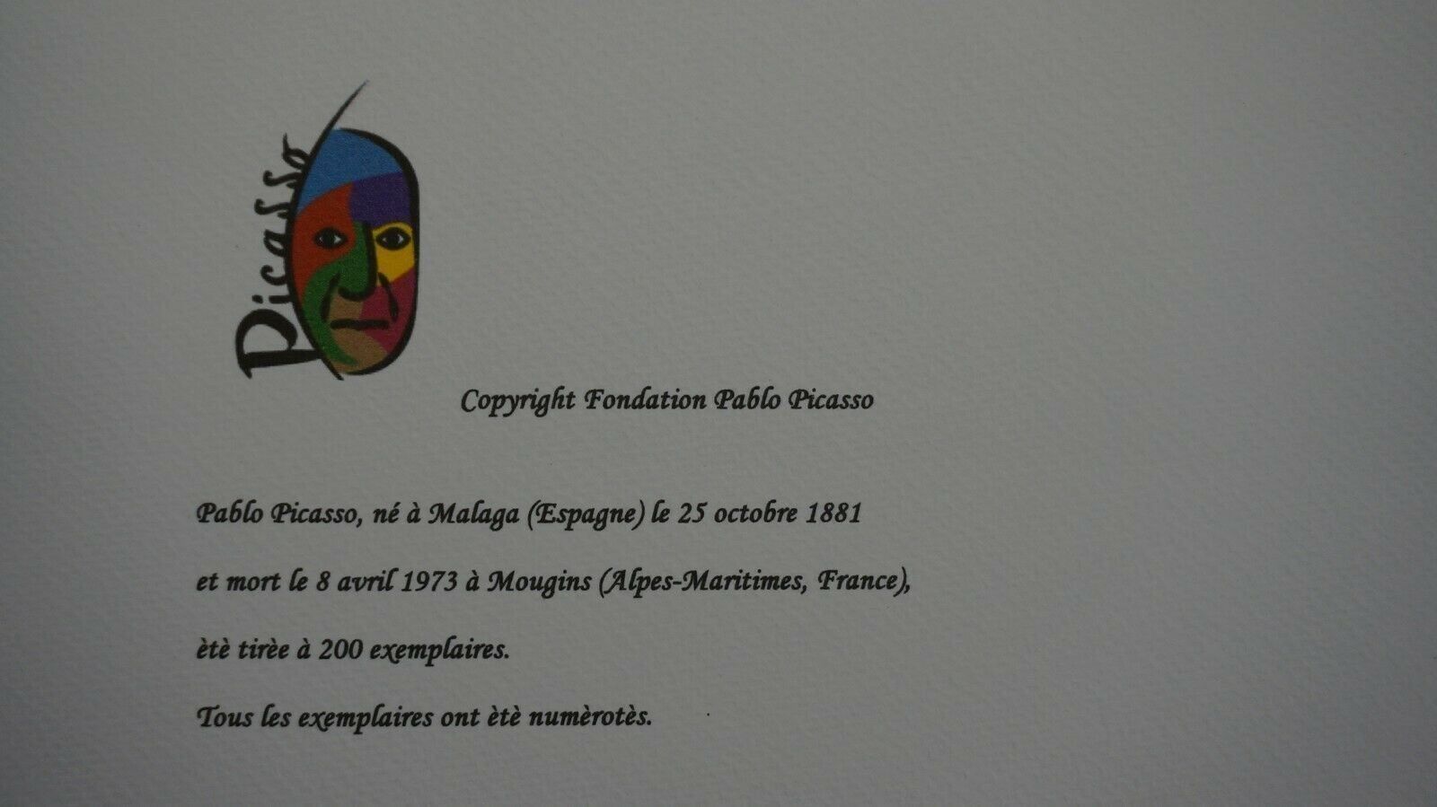 Foto & Immagini: PABLO PICASSO    HANDNUMMERIERT  DRUCKSIGNIERT – Usato da Gersau venduto da kunst-online 5