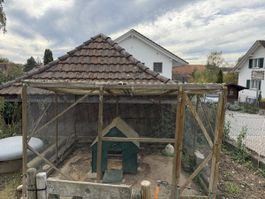 Grosszügiges Hühnergehege mit Hühnerhaus 