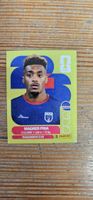 Fifa World Cup Panini CPV 7