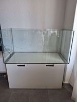 Terrarium pour rongeurs 