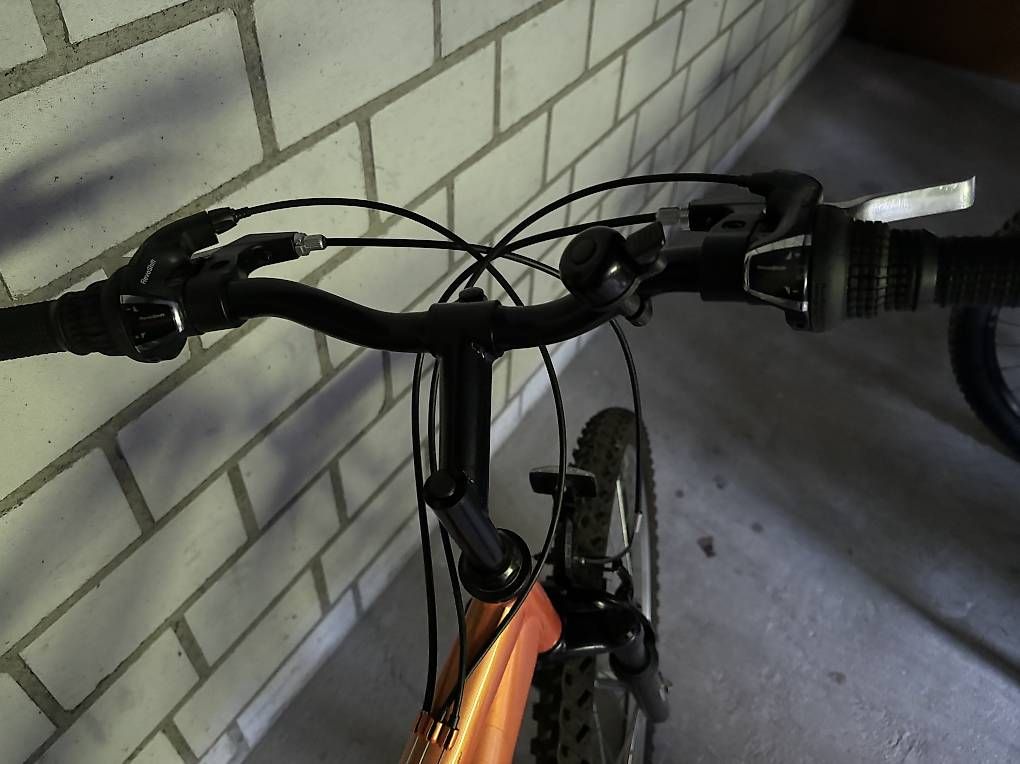 Velos: Mountainbike – Gebraucht aus Sargans von sandy1071 1