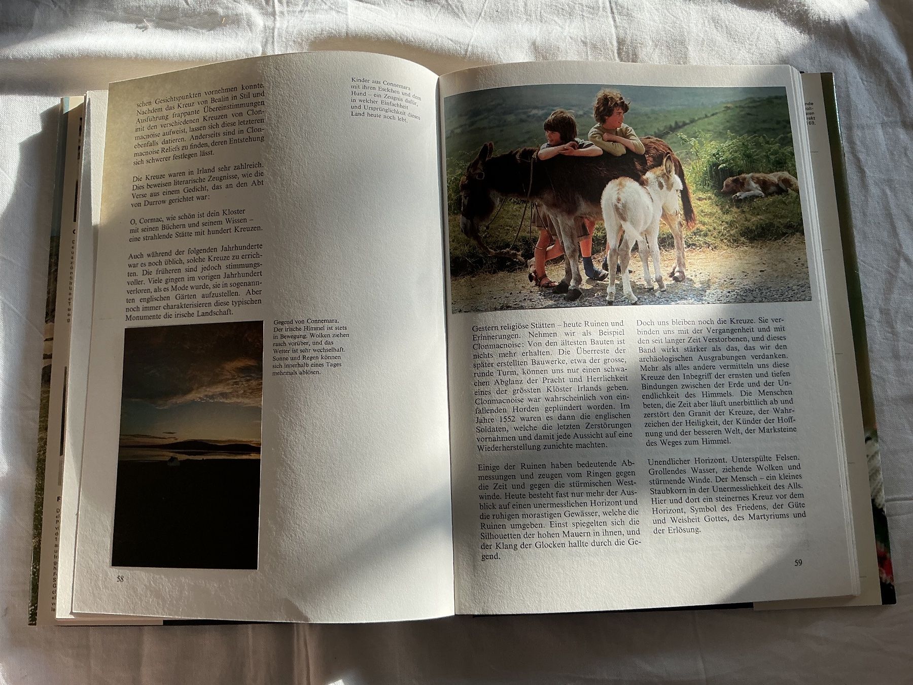 Libri: Silva Buch Irland – Usato da Niederhasli venduto da ercp4 2