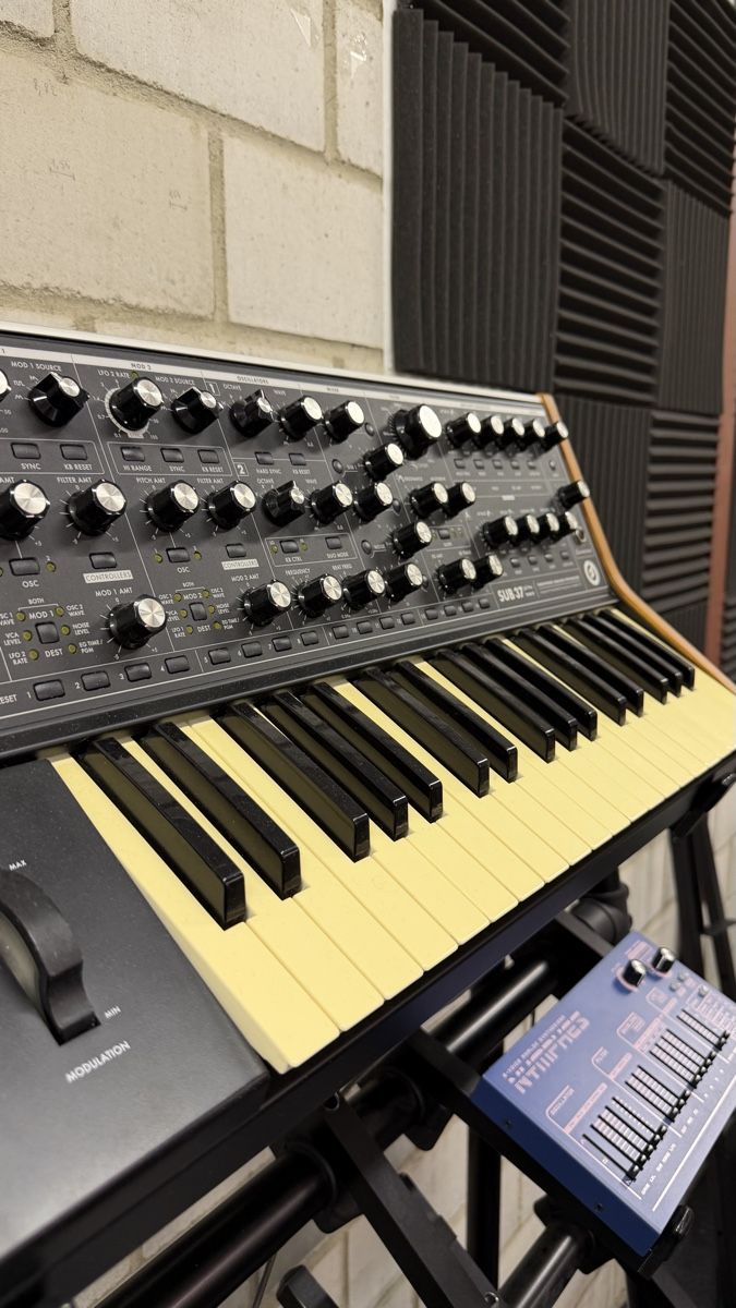 Moog Strumenti musicali: Moog Sub 37 Tribute Edition – Usato da Basel venduto da alb_r8v8 2