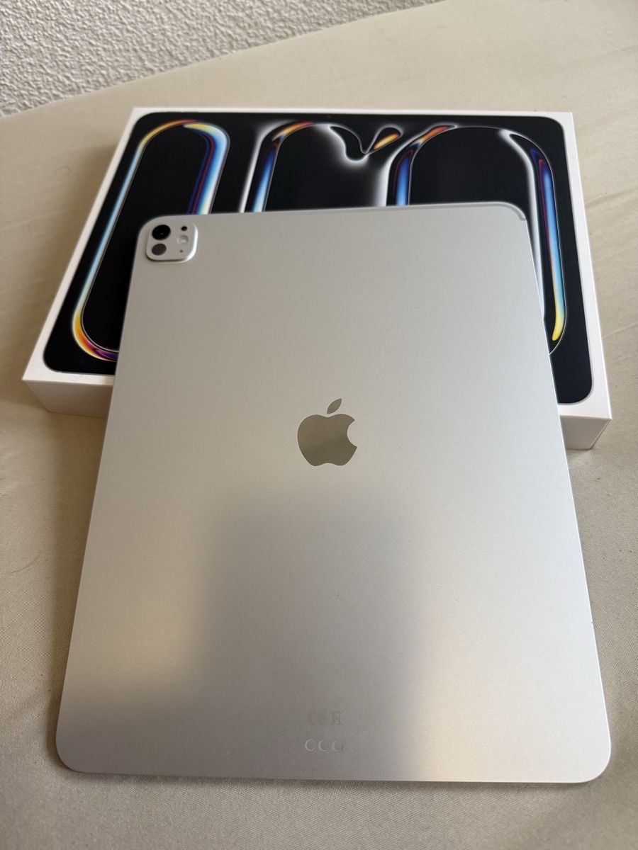 Apple Tablet PC: iPad Pro M5, 13 Zoll 256GB, Silber – Usato da Interlaken venduto da shoresh72 2