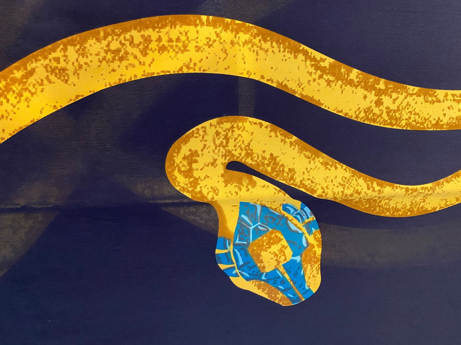 Roberto Cavalli Foulard & Sciarpe: Stola CAVALLI – Nuovo (secondo la descrizione) da Mammern venduto da Rustini 4