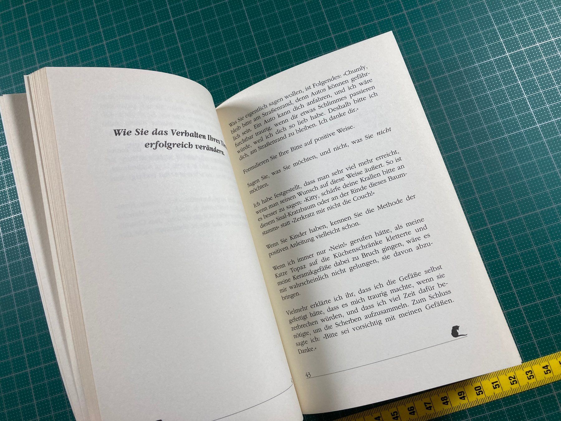 Libri: Judy Meyer: Mit Tieren sprechen – Usato da Lenzburg venduto da fh1 7