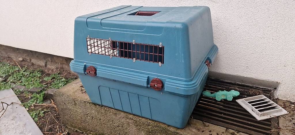 Gabbie, trasporto & Sicurezza: Cage box chien vari kennel – Usato da Aven venduto da man_yl9j 2