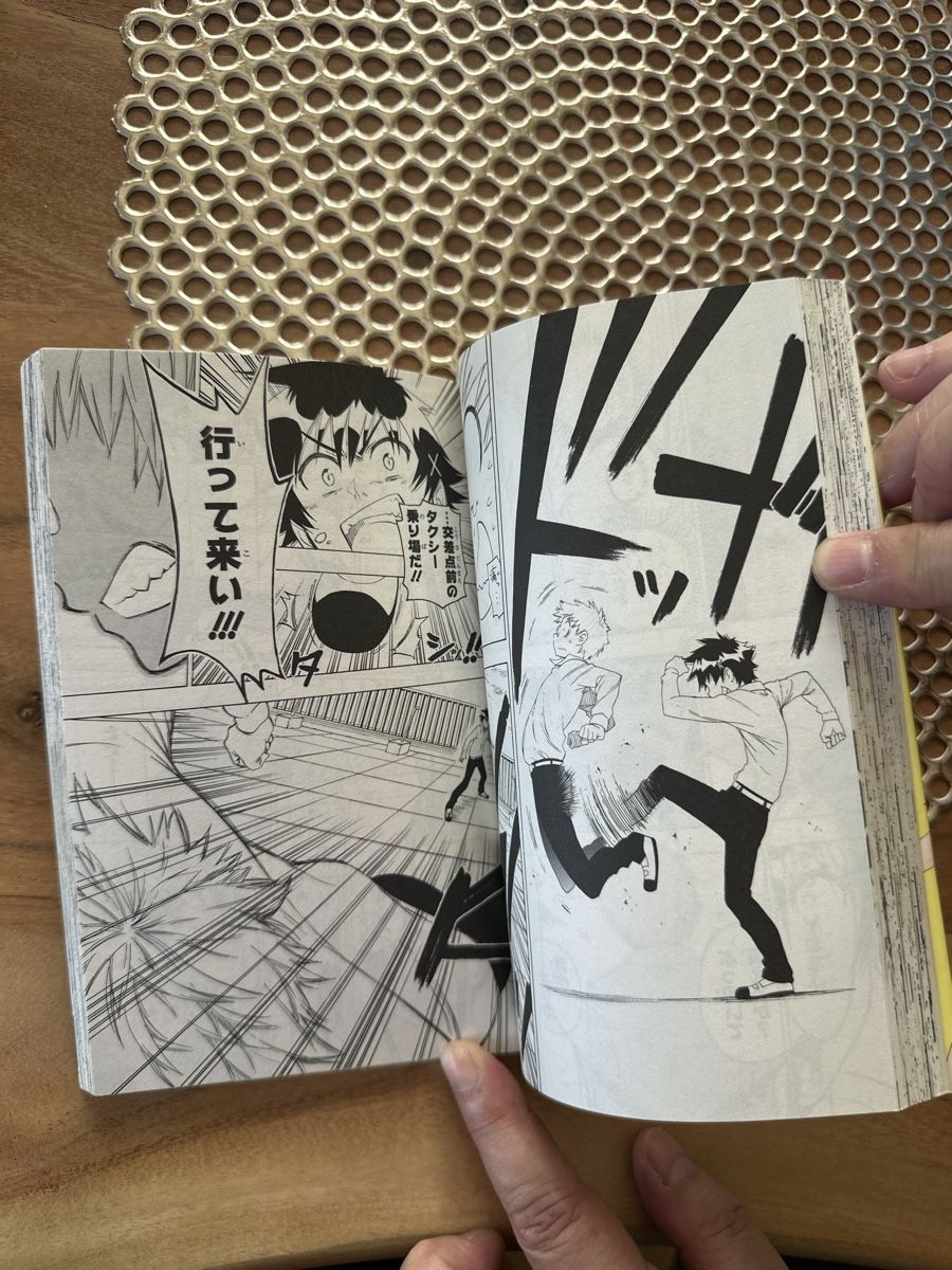 Comics: Manga Nisekoi Japanese – Gebraucht aus Goldach von Lenny0220 3