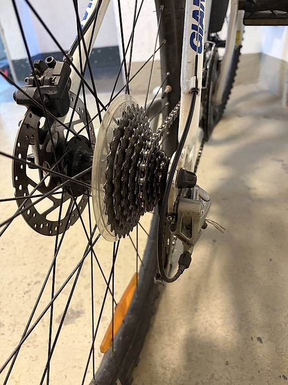Vélos: Giant Fahrad – D'occasion à Wallisellen par australia018 2