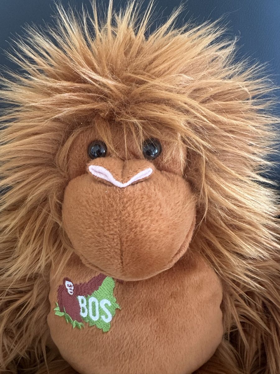 Giocattoli: Orangutan  – Usato da Boppelsen venduto da Raffeli