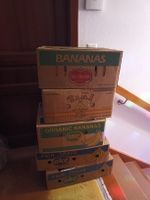10 Bananenschachteln/Umzugskartons, diverse Marken, Top!