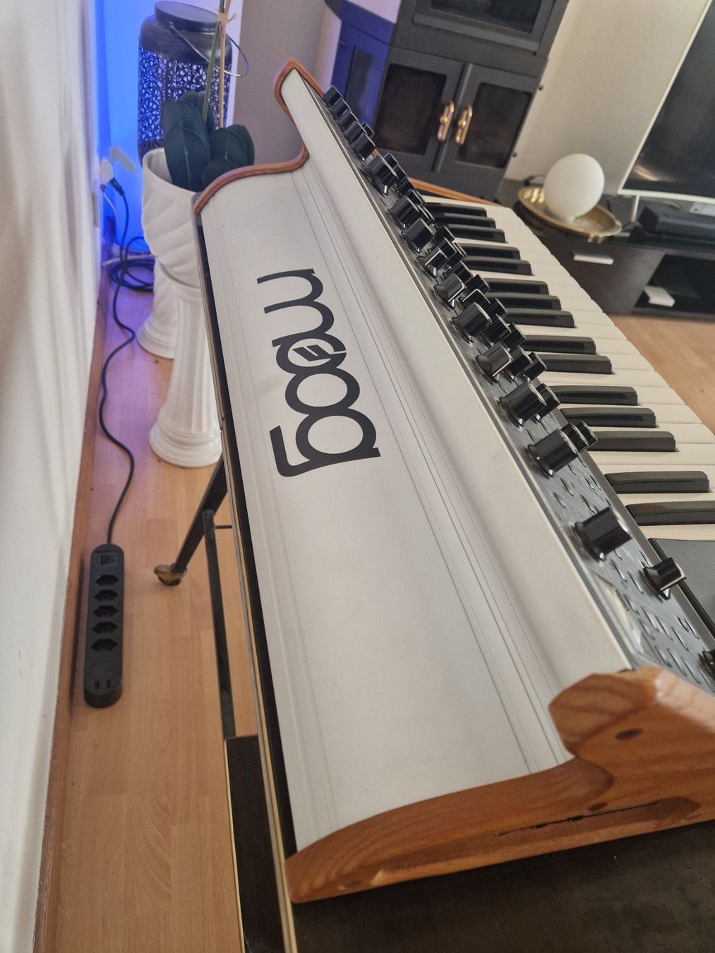 Moog Instruments de musique: Synthesizer Moog Sub Sequent 37 zu verkaufen – D'occasion à Laufen par jeremyjoelheinis 1